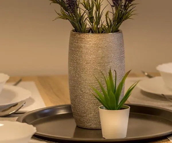 Posluv Mlyn * 多克西